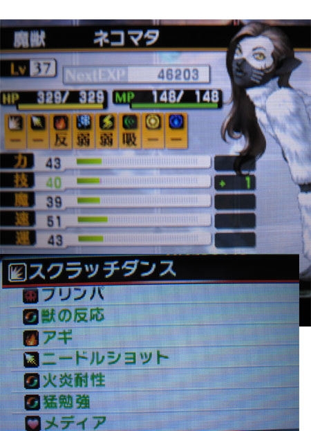 ネコマタ