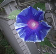 83e9fd8d.gif