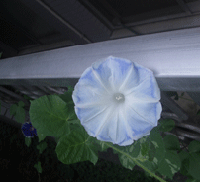 8f5e59b7.gif