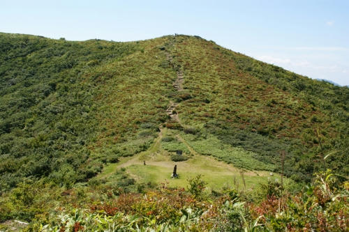 ebosi.JPG