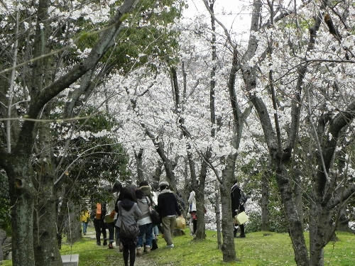 wakamono.JPG