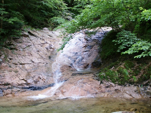 tnameri.jpg