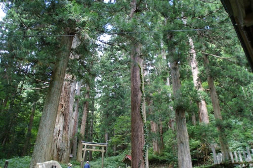 kumano.JPG