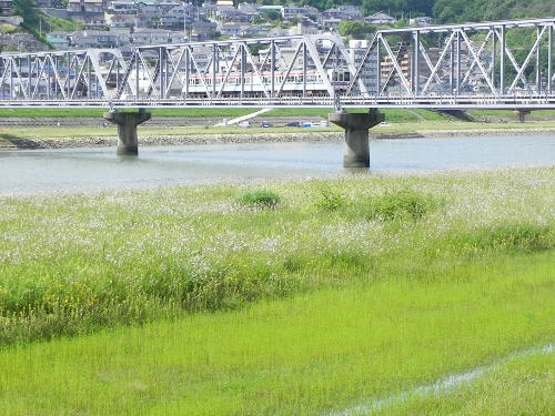 densha.JPG