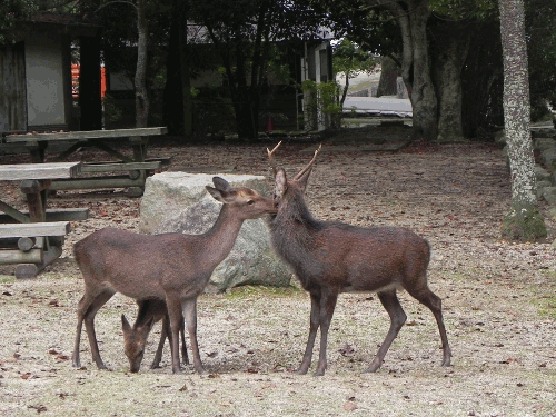 839d7d70.gif