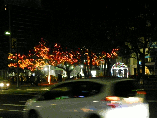 8.gif