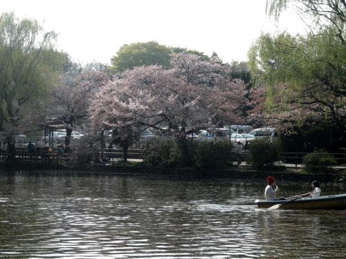 FI2623151_4E.JPG