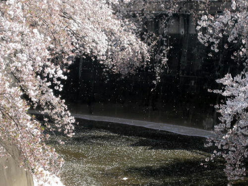 FI2623151_1E.JPG
