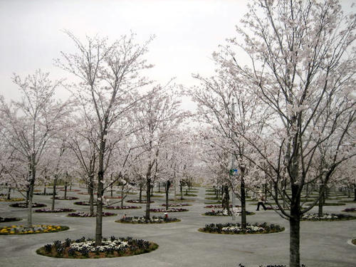 FI2623149_3E.JPG