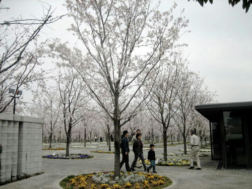 FI2623149_2E.JPG