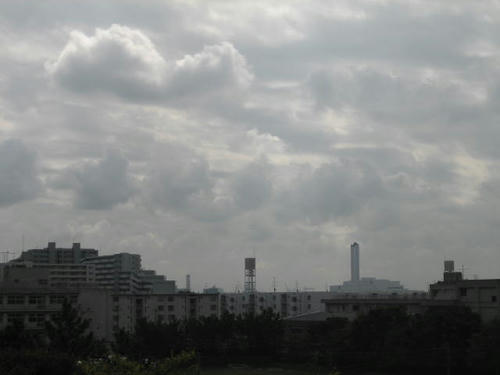 FI2623036_1E.JPG
