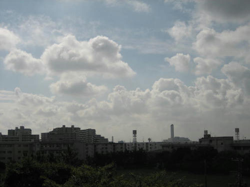 FI2623008_1E.JPG