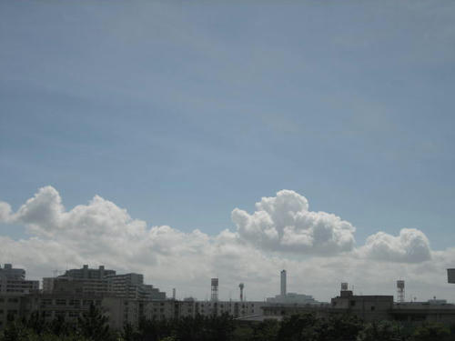 FI2622991_1E.JPG