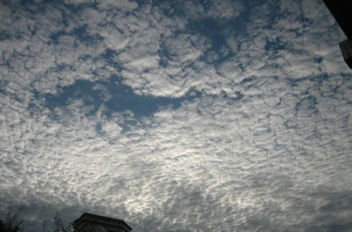 FI2622957_1E.JPG