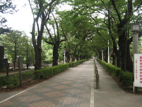 FI2622935_1E.JPG