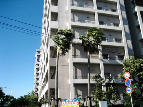 FI2622775_1E.JPG