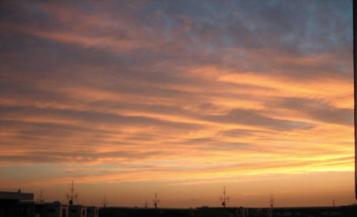 FI2622714_1E.JPG