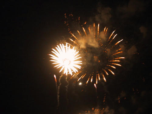 FI378294_0E.jpg