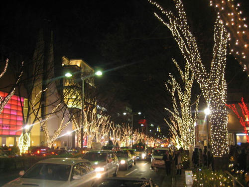 IMG_7800.JPG