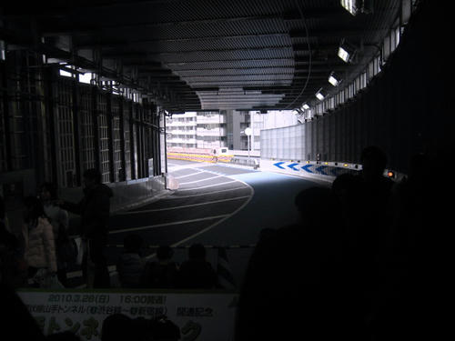 IMG_8378.JPG