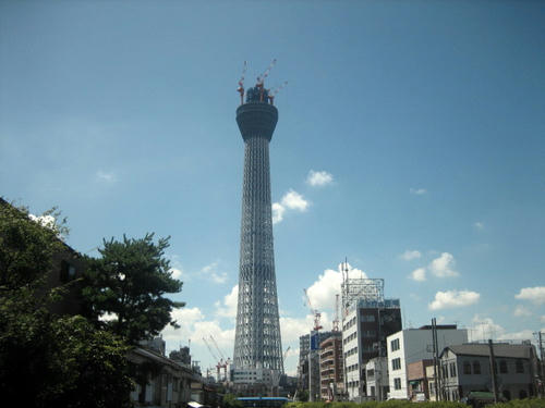 IMG_9871.JPG
