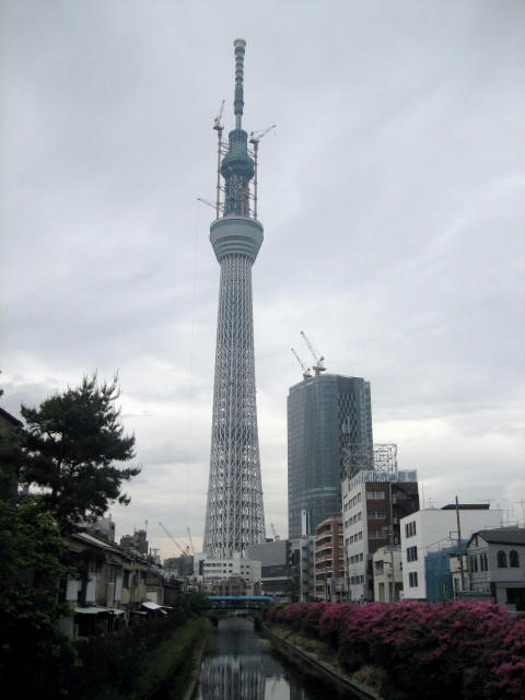 IMG_1869.JPG