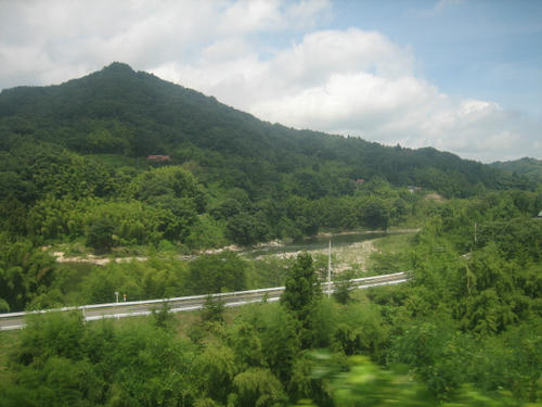 IMG_5239.JPG