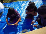 DSCN1499.jpg
