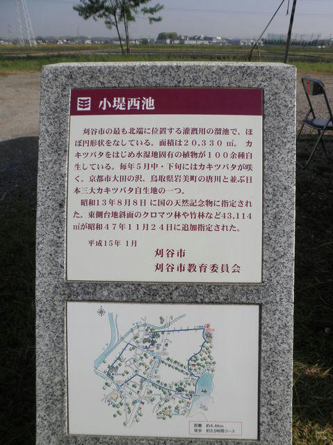 K_18k.jpg