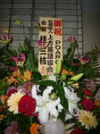 uP1000941.jpg