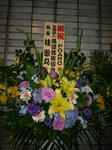 uP1000942.jpg