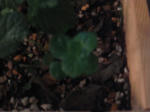 7560f518.jpg