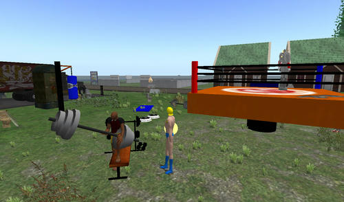 muscle_20080625_5.jpg