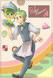 poke01.jpg