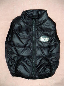 DSCN5464.jpg