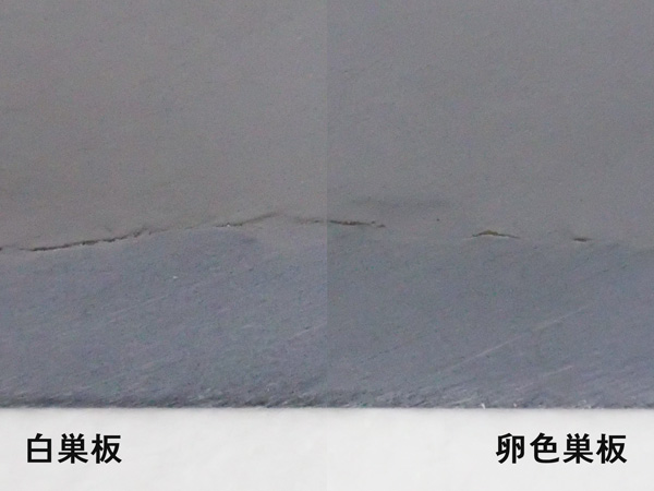 白巣板と卵色巣板の比較画像1