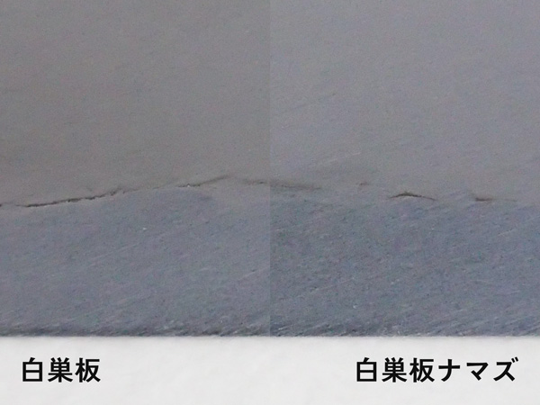 白巣板と白巣板ナマズの比較画像1