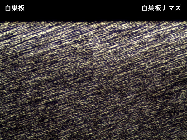 白巣板と白巣板ナマズの比較画像2