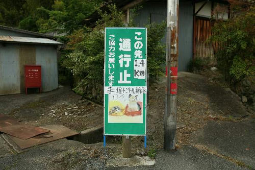 hashira11.jpg