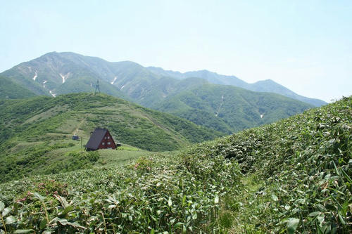 20090627shimizu.jpg