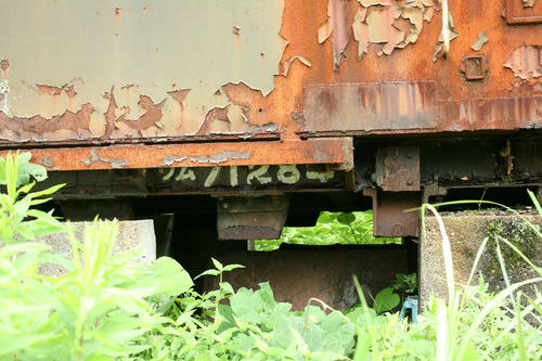 20090928_2.jpg