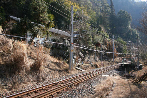 20100214-4.jpg