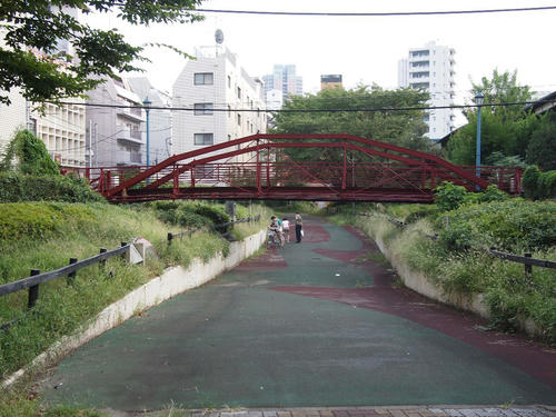 P9110993.jpg
