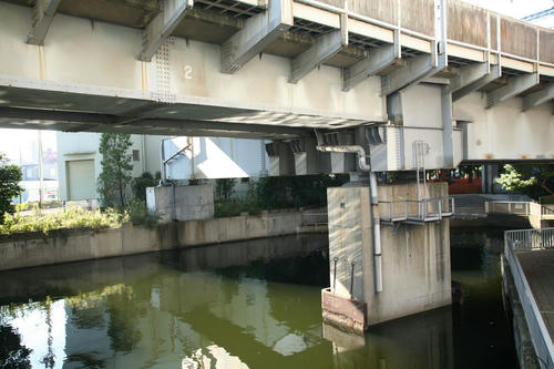 20101104-21.JPG