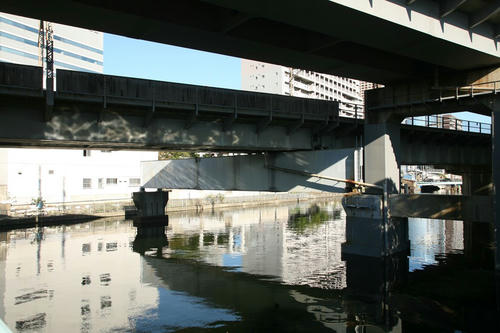 20101105-03.JPG