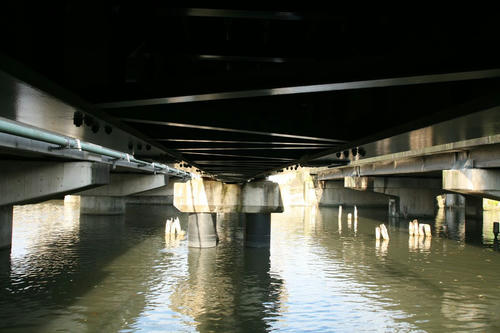 20101126-04.JPG
