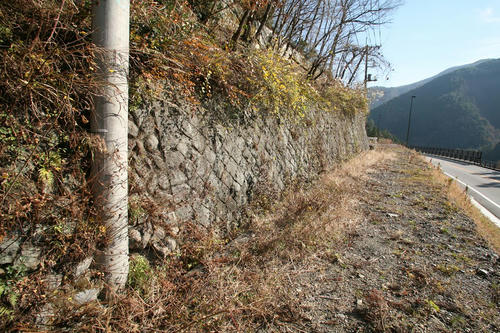 20101128-03.JPG