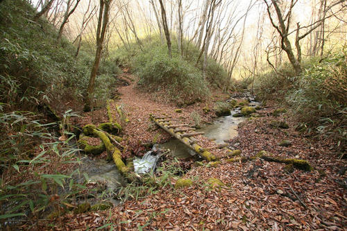 20101128-06.JPG