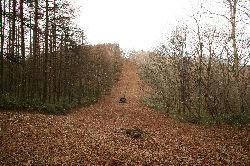 20101128-99.jpg