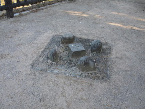 20110112-01.JPG